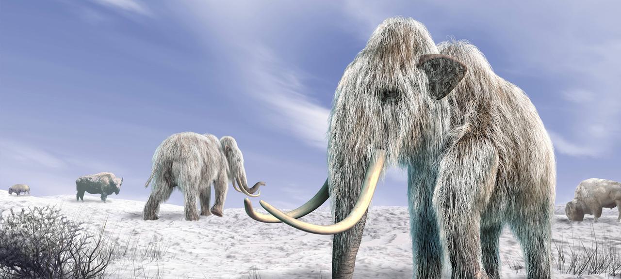 Mammut in Schneelandschaft (animiert)