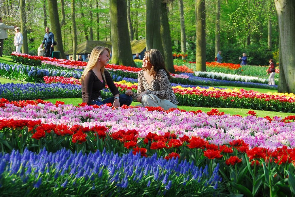 keukenhof_09.jpg