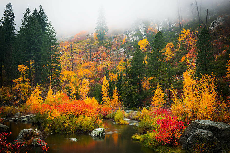 autumn-colors-symphony-dan-mihai.jpg