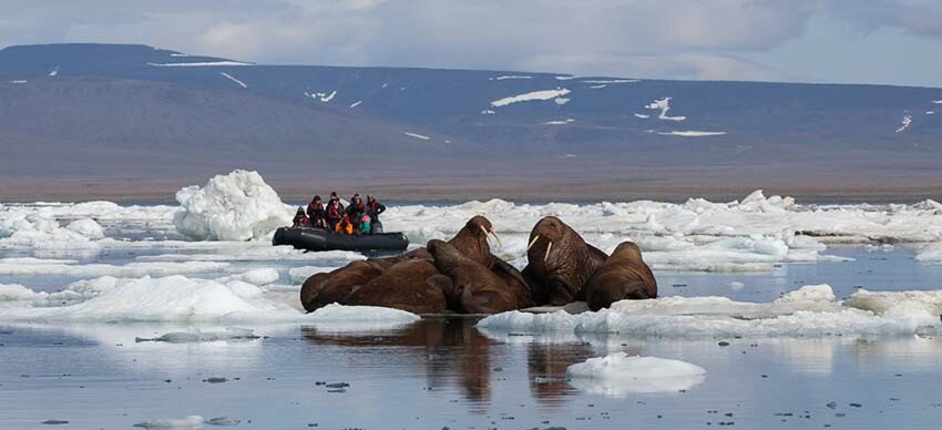 Wrangel_Island_ABreniere-Across-the-Top-of-the-World-850.jpg