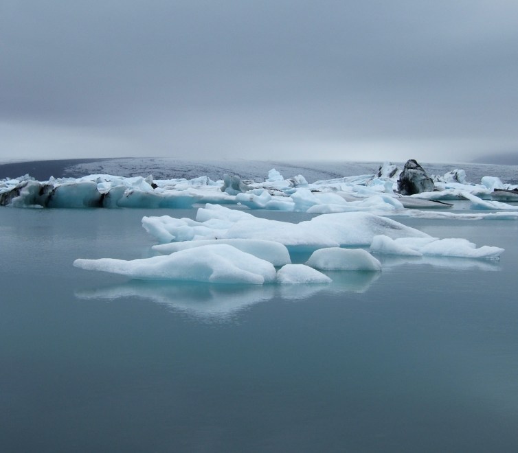 icebergs floating in water 