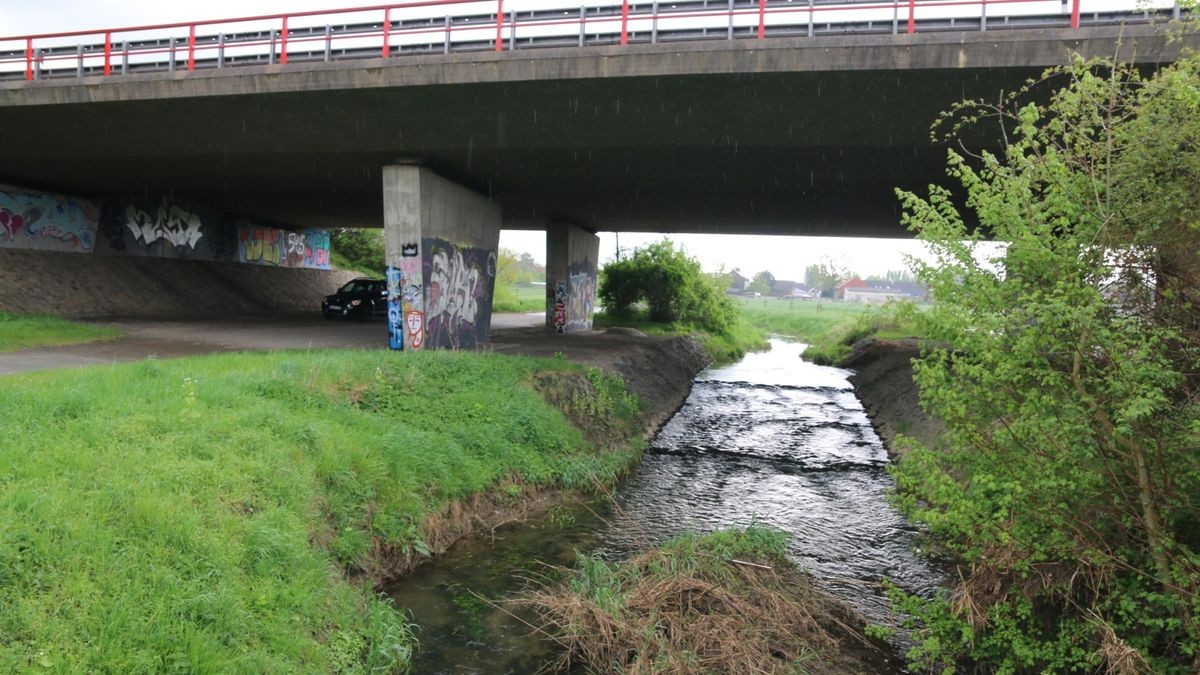 Der Flusslauf der Fuhse ist derzeit monoton und gradlinig - hier unter einer Brücke der A 39. 