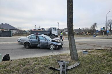 Volkswagen врезался в дерево. 1 марта 2024 года, Молодечно. Фото: ГАИ