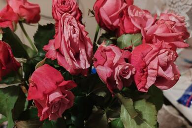 Букет роз, которые купил минчанин своей жене. Март 2024 года. Фото читателя Onliner