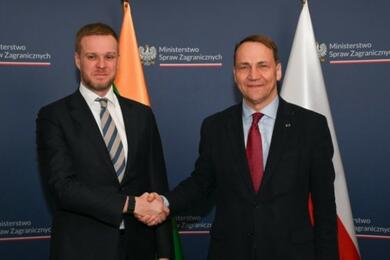 Радослав Сикорский (на фото справа) и Габриэлюс Ландсбергис. 20 марта 2024 года. Фото: МИД Литвы