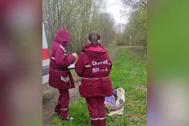 Труп женщины нашли беларусские пограничники около границы с Латвией. Скриншот: видео ГПК