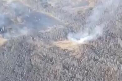 Первые лесные пожары зафиксированы в Беларуси. В числе основных версий — поджоги