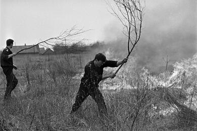 Пожары 1992 года в Беларуси. Фото: Сергей Брушко