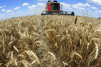 Фото: Reuters