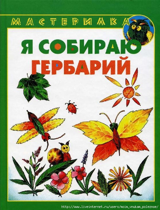 Masterilka_-_ya_sobirayu_gerbariy_1 (535x700, 343Kb)