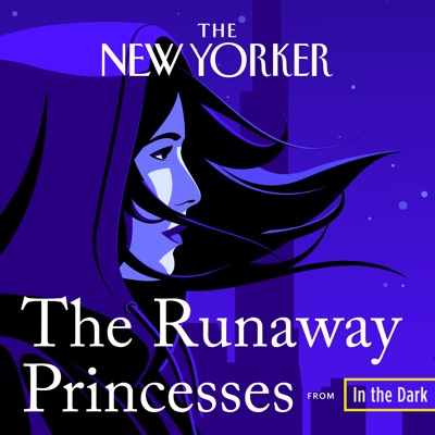 In The Dark:The New Yorker