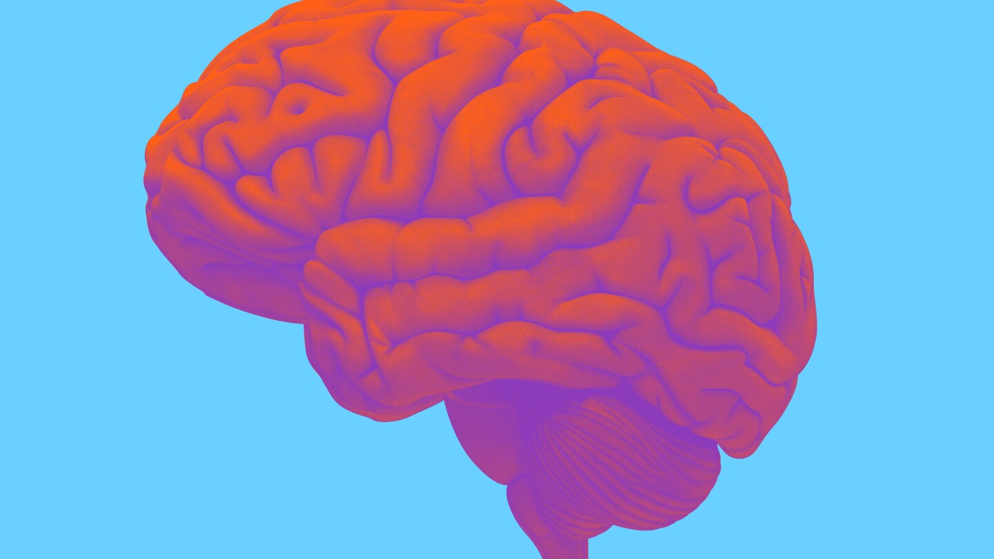 3D ilustration of a purple brain on a blue background 