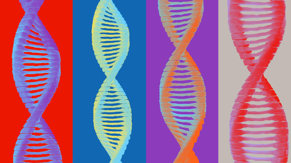 Four 3D DNA structures illustration