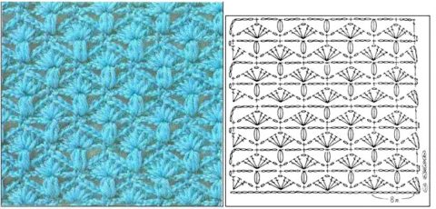 Схемы вязания узора ракушки (веера) крючком
