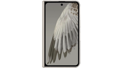 正面を向いた Google Pixel Fold に、鮮明な鳥の翼の写真が表示されている。