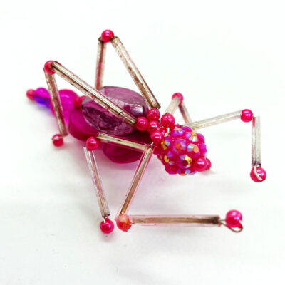 Kate the Pink Katydid