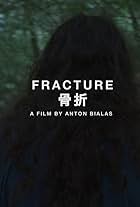 Fracture (2015)