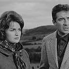 Lisa Gastoni and Ugo Tognazzi in Ro.Go.Pa.G. (1963)