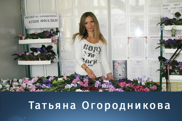 Татьяна Огородникова. Цветы в Могилеве