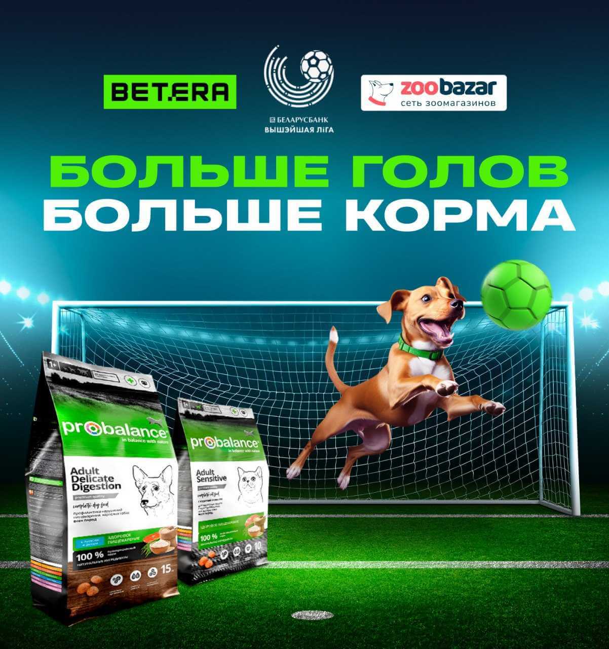 Betera Pets — масштабная акция помощи бездомным животным