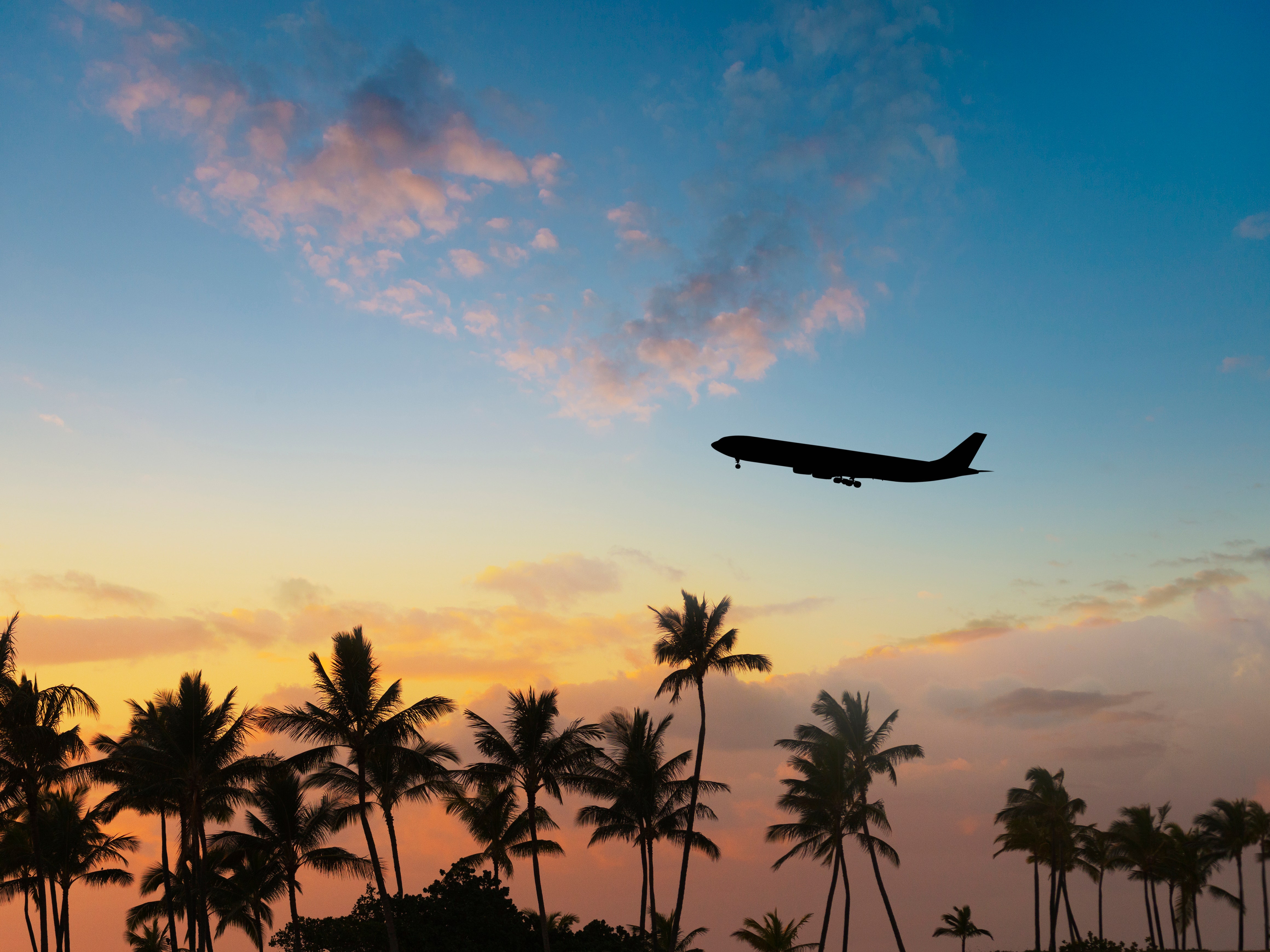 What It's Like to Fly in the Leihōkū Suites, Hawaiian Airlines' New Business Class Cabin