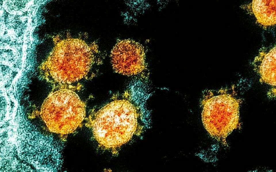 Un nouveau variant du coronavirus a été détecté en octobre dans une école de Bannalec, dans le Finistère.