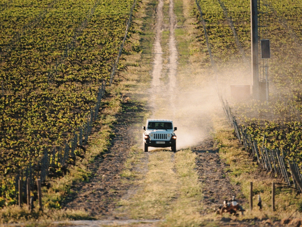 Ribera del Duero: cultura, experiencias, gastronomía… y buen vino