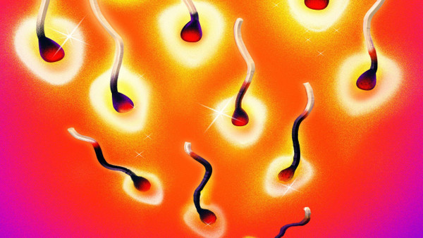 Spermien mögen keine Wärme – diesen Effekt kann man bewusst nutzen.