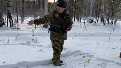 Специалист показал, как посчитать животных в лесу (ФОТО)