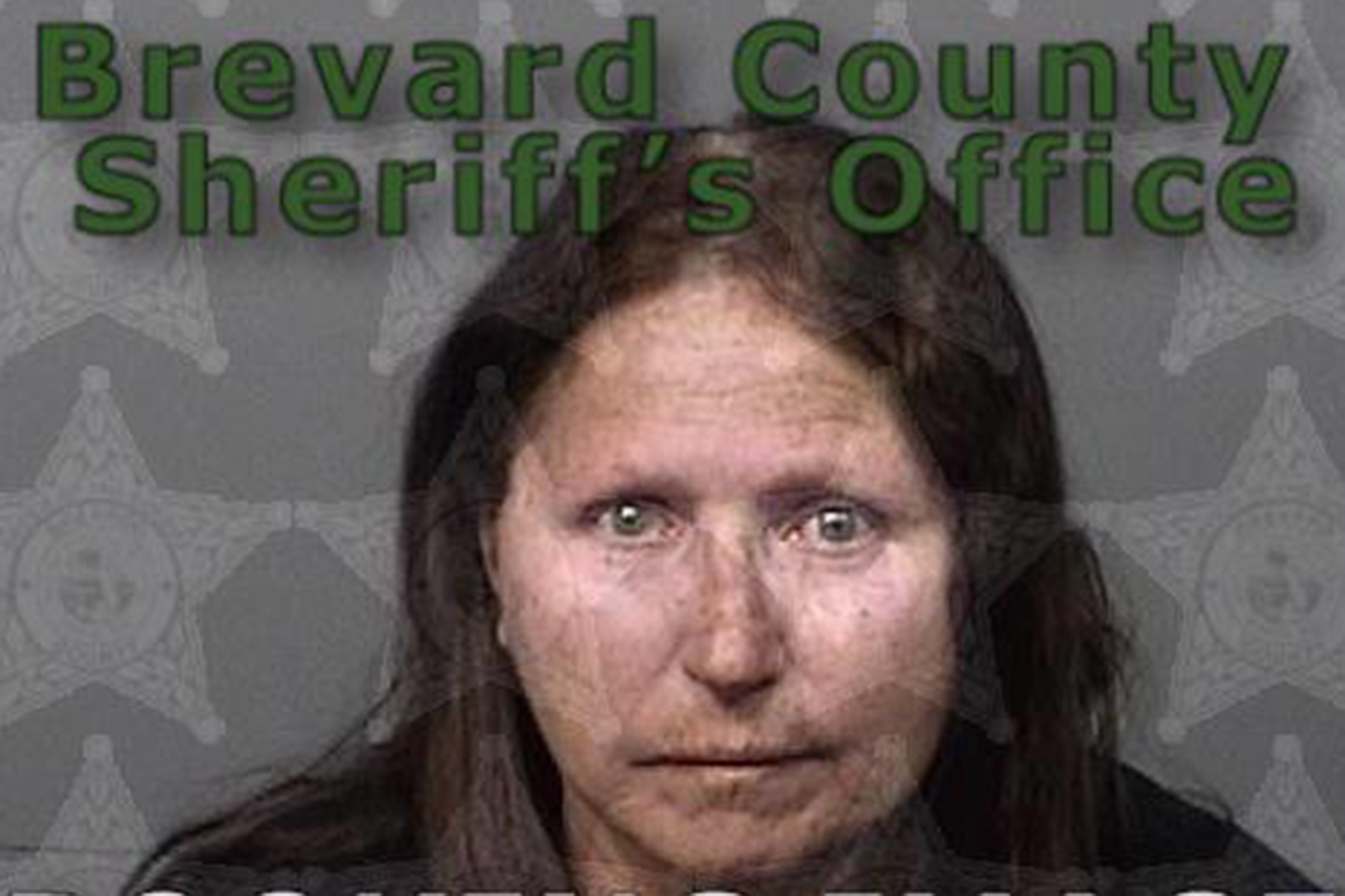 Florida woman Diane Hawk allegedly passed out while drunk driving a golf cart down I-95 and was saved by a truck driver.