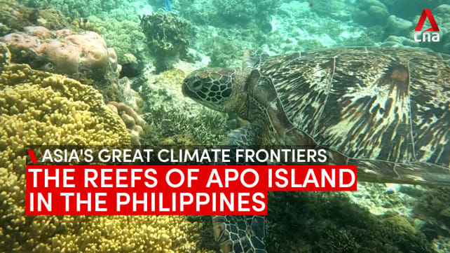Asia's Great Climate Frontiers: The reefs of Apo Island in the Philippines | Video