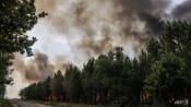 By air, land, French police track forest fire-starters