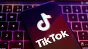 TikTok suspends new app's reward programme amid EU concerns