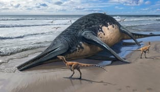 Gigantic marine reptile's fossils found by British girl and father