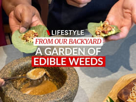 From garden to table: Using wild pepper leaves to make bite-sized wraps | CNA Lifestyle