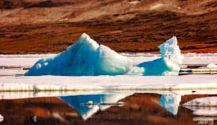 Arctic warming four times faster than rest of Earth: Study 