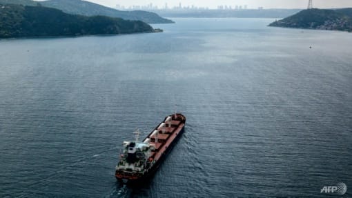 First Ukraine grain ship docks in Turkey after being turned away