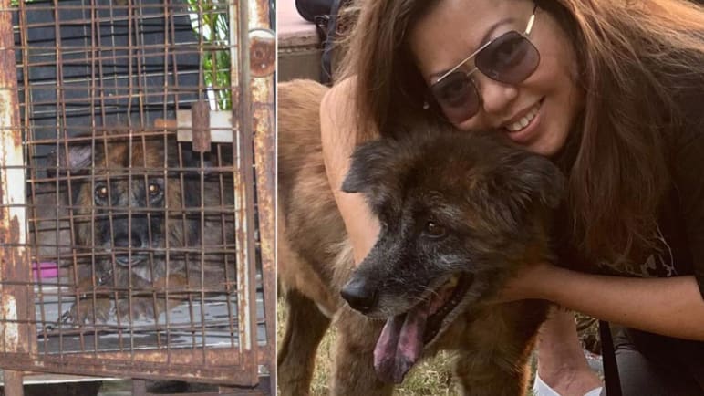 Grieved by sufferings of chained dogs, this activist engages owners to free their pets