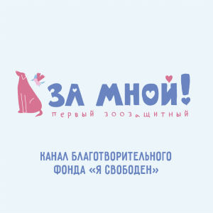 Дело за мной!