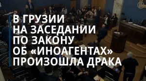 В парламенте Грузии произошла драка во время обсуждения проекта об иноагентах — Коммерсантъ