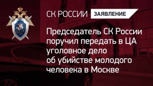 Председатель СК России поручил передать в ЦА уголовное дело об убийстве молодого человека в Москве
