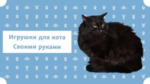 Игрушки для котика своими руками