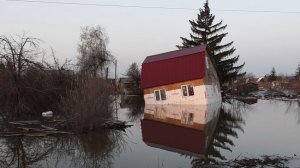 Кадры затопленных территорий в Курганской области