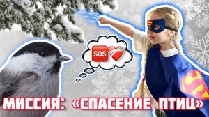 СПАСЕНИЕ ПТИЦ ? ДОБРОЕ ДЕЛО | SAVING BIRDS ?️GOOD DEED | кормушка своими руками