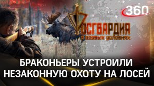 Браконьеры устроили незаконную охоту на лосей | Росгвардия. В особых условиях