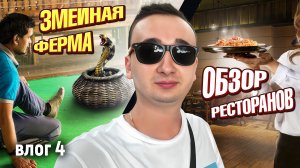 Влог #4 | Шри-Ланка Рестораны и Змеиная ферма 🐍