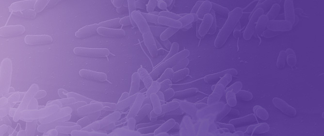 Generation of Plasma-Activated Fluids for Successful Disinfection of <em>Pseudomonas aeruginosa</em> in Liquid Environments and Determination of Microbial Damage