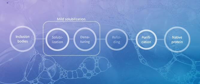 Inclusion Bodies in Ionic Liquids