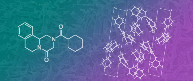 Praziquantel Fifty Years on: A Comprehensive Overview of Its Solid State