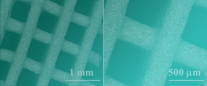 New 3D Printed Scaffolds Based on Walstromite